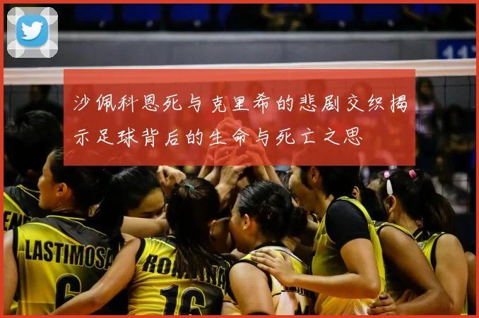 沙佩科恩死与克里希的悲剧交织揭示足球背后的生命与死亡之思