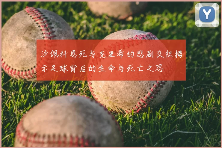 沙佩科恩死与克里希的悲剧交织揭示足球背后的生命与死亡之思