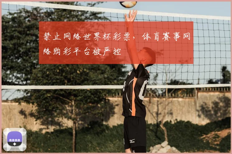 禁止网络世界杯彩票,体育赛事网络购彩平台被严控