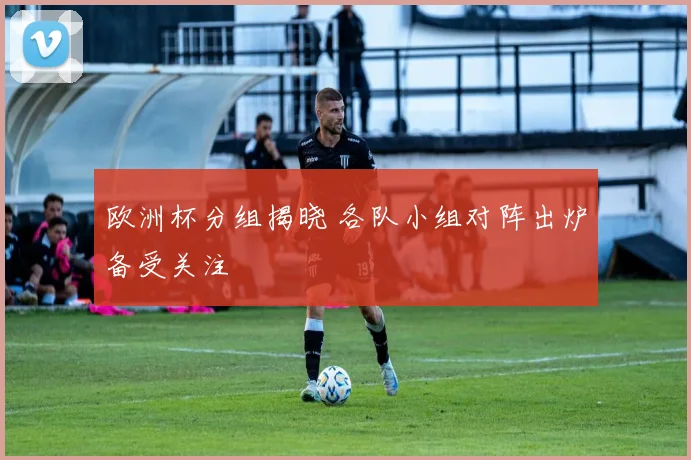 欧洲杯分组揭晓 各队小组对阵出炉备受关注