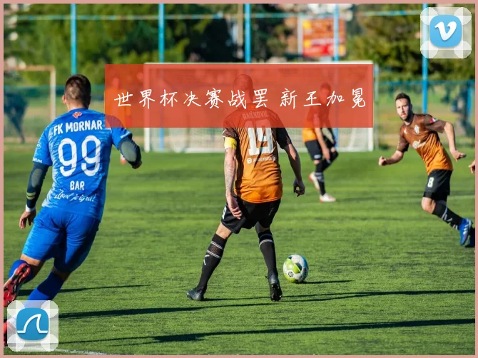 世界杯决赛战罢 新王加冕