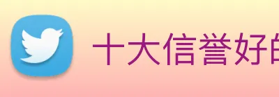 十大信誉好的平台 Logo